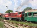 Bulgarian narrow gaige train