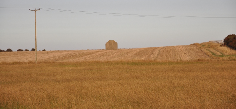 Photo of the Kilnsea acoustic mirror amidst fields