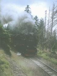 [Steam loco in trees]