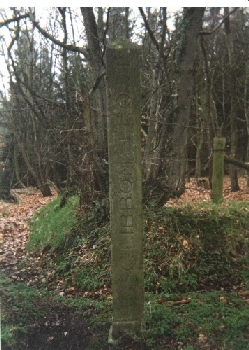 [Photo by Tony Clibbon, 2001