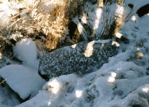 [Jeppe Knave's grave, photo by Anne Parkinson]