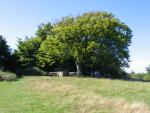 [Miller's grave, Highdown Hill]