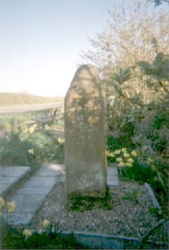 [Photograph of the Rebel's grave]