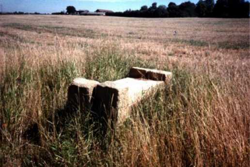 [Tristam's grave]